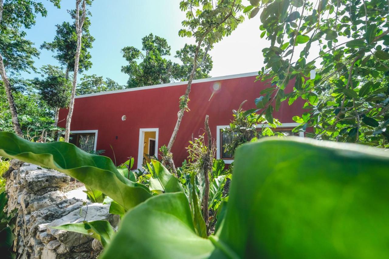 Wakax Hacienda - Cenote & Boutique Hotel Tulum Exteriér fotografie